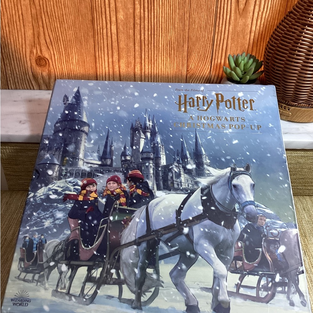 Warner Bros. Harry Potter Christmas Pop-Up - Advent Calendar Blue and White